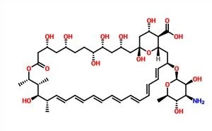 Amfoteritsin B CAS 1397-89-3